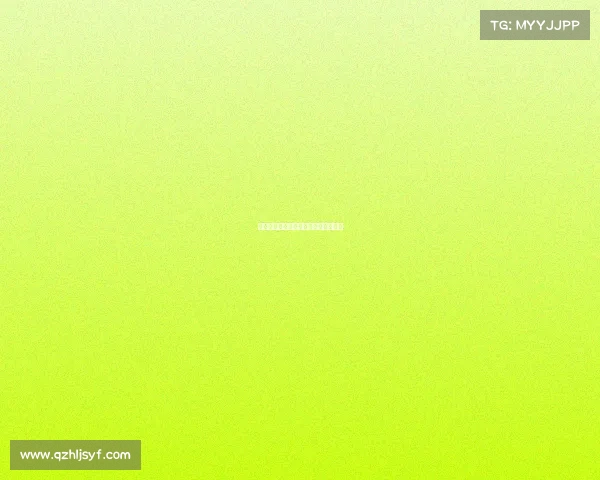 加强赛事安保意义—赛事安全保障方案